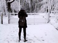 Wirral Snow